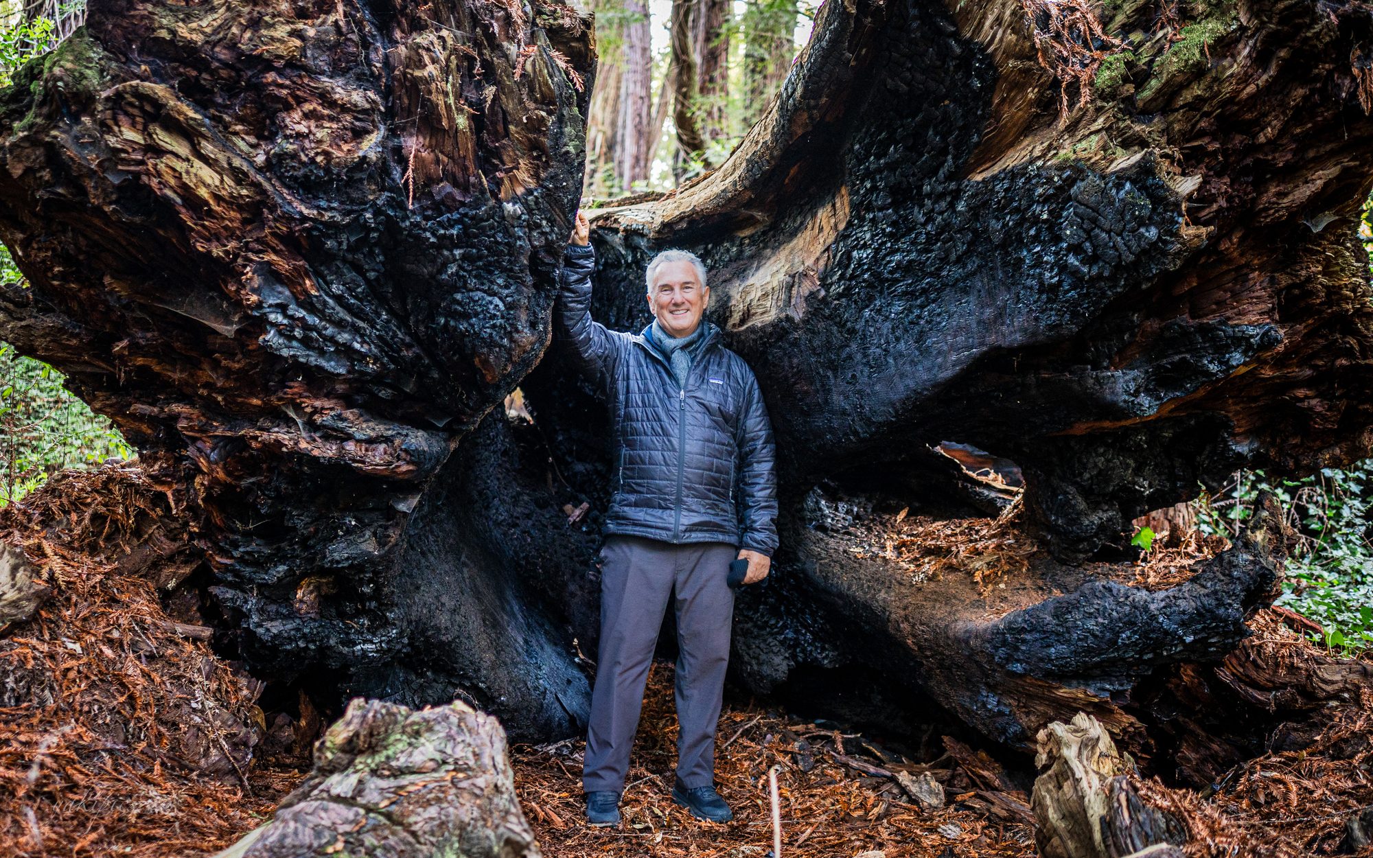 Older man standing within the exposed roots of a massive fallen tree.
